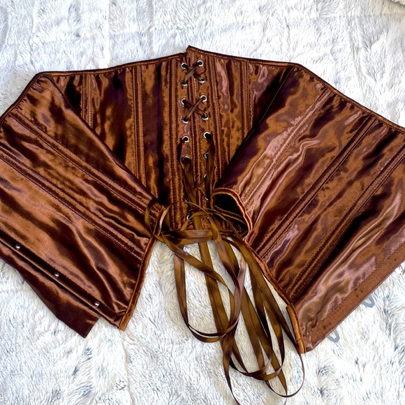 Beautiful Brown Silk Corset - Picture 1 of 5